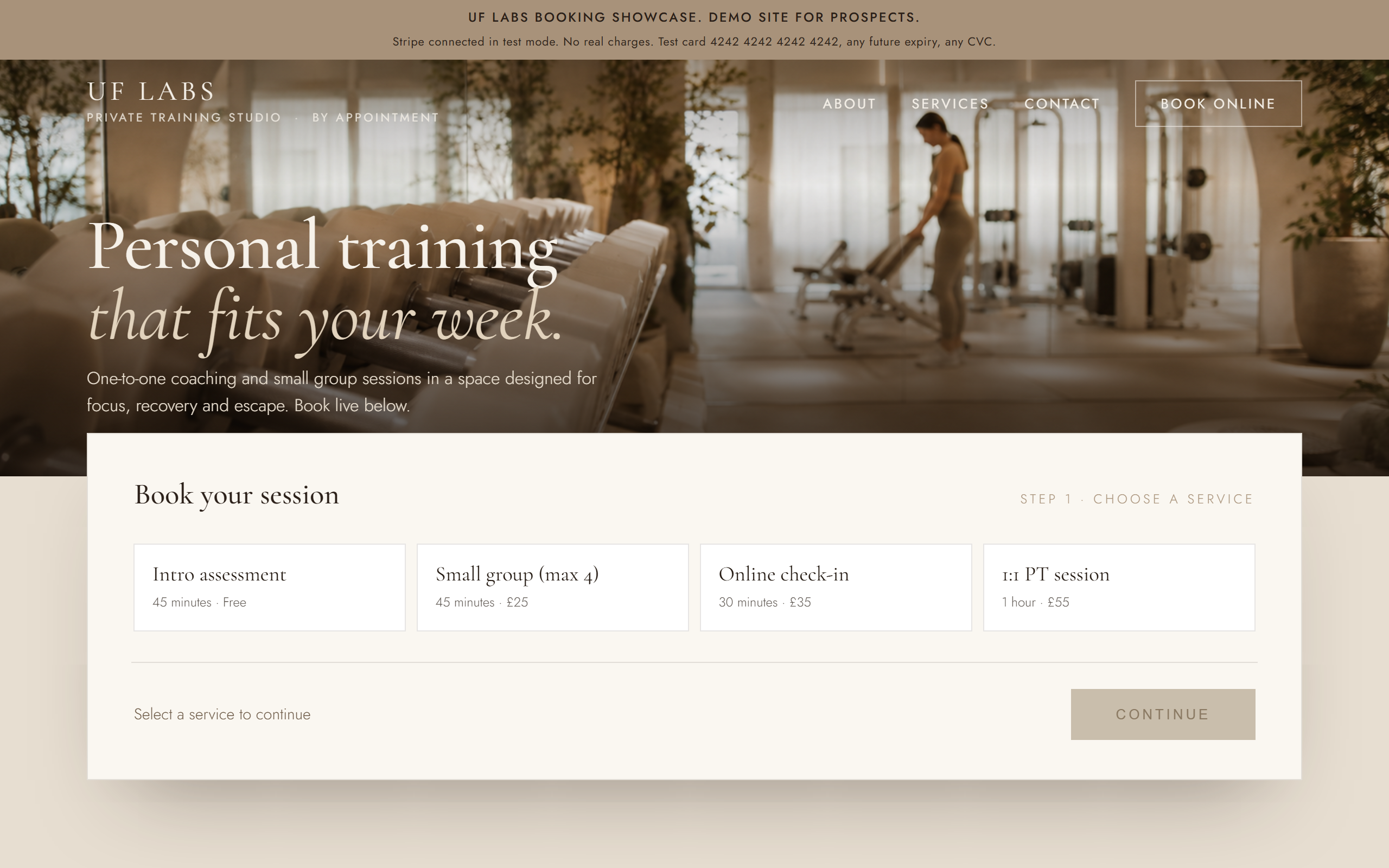 UF Labs PT demo site preview